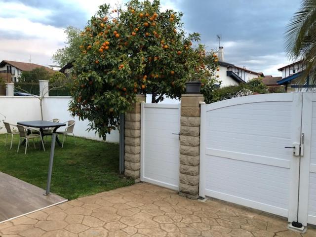 BEL APPART PROCHE DE LA PLAGE-JARDIN-WiFI-PARKING Hendaye Extérieur photo
